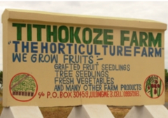Sign: Welcome to Tithokoze Farm